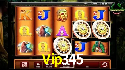 Descubra a Essência do Vip345: Nossa História e Compromissos